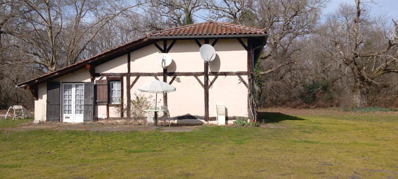 La Suite Du Bucheron Laharie Экстерьер фото